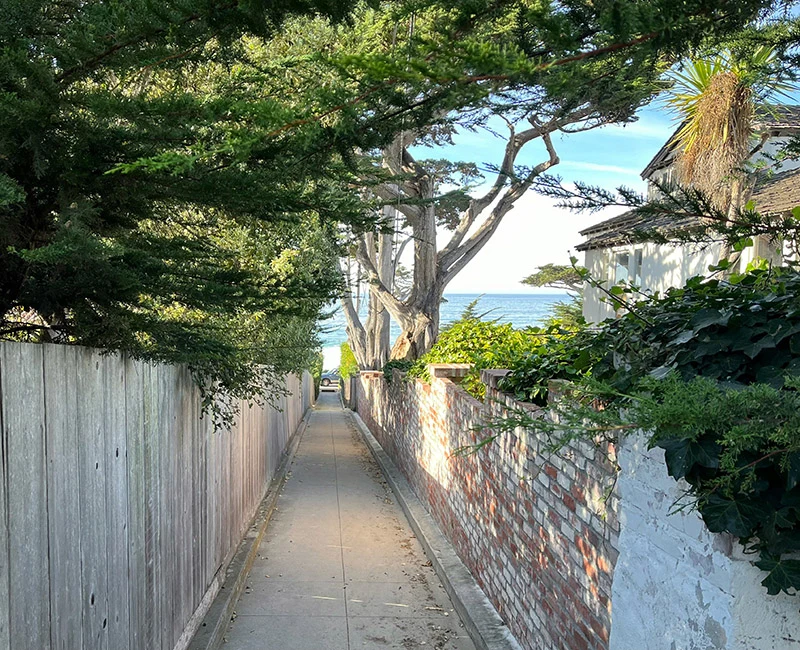 A leafy pathway leading toward the coast in Carmel