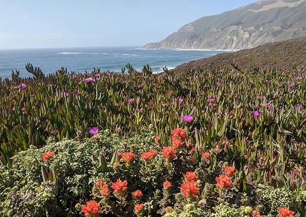 Pacific Ocean views along the California coast